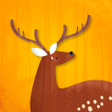 Delhi Zoo APK