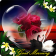 Good Morning Flowers APK