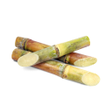 Rohtak Sugar Mill APK