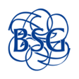 BSG Connect Plus APK